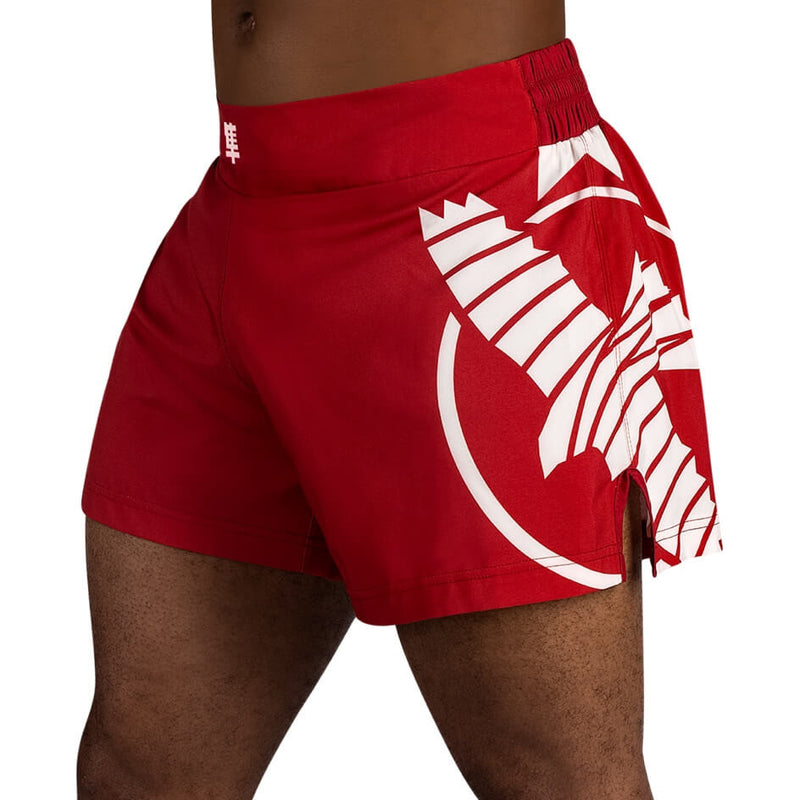 Kickboxing Shorts - Hayabusa - 'Icon' - Red/White