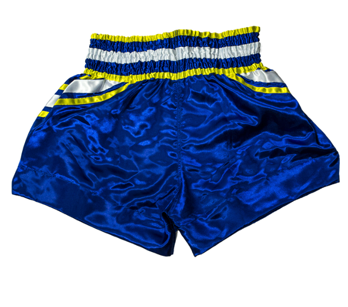 Muay Thai Shorts - Fairtex - Sweden - Blue/Yellow